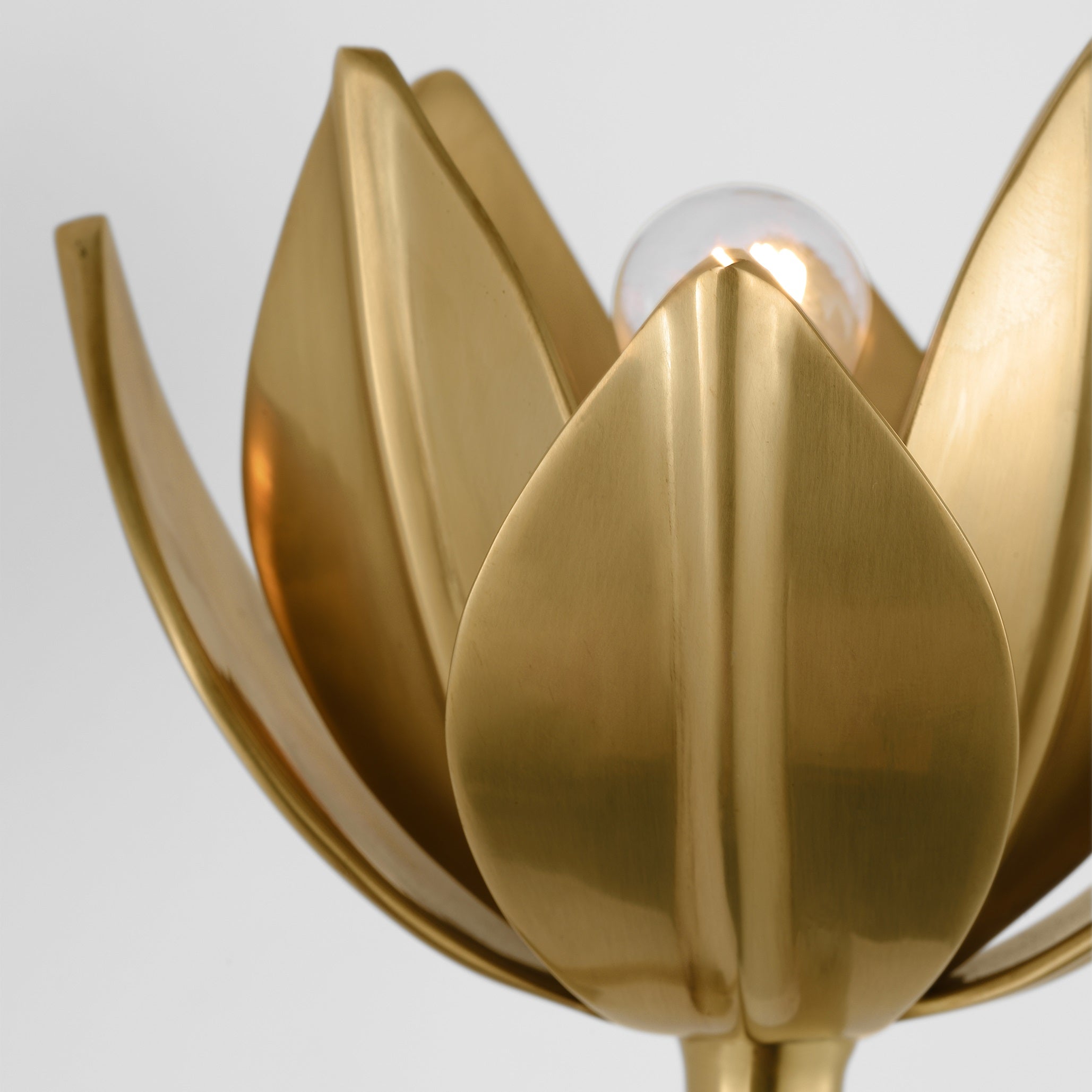 Wren Floral Sculptural Wall Sconce