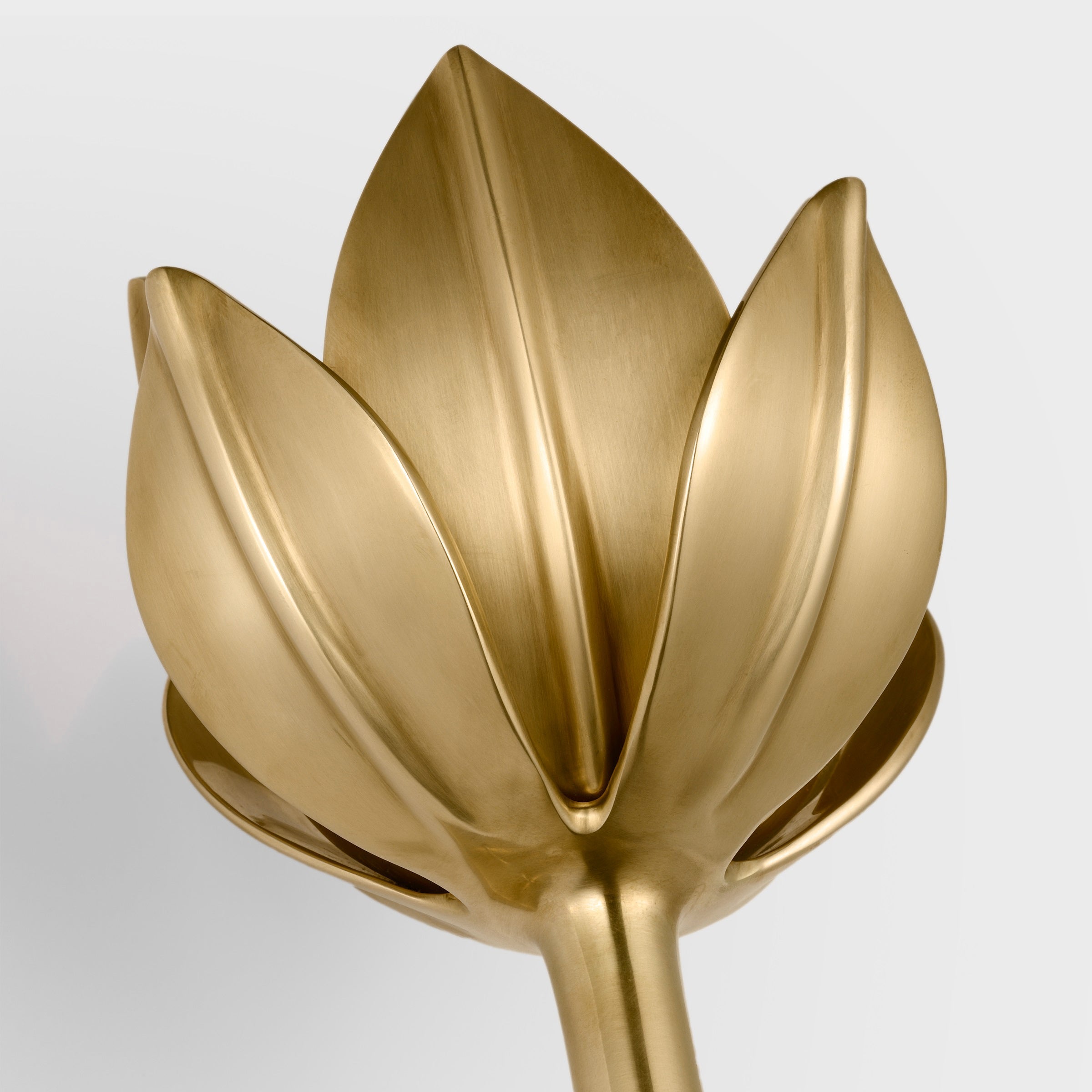 Wren Floral Sculptural Wall Sconce