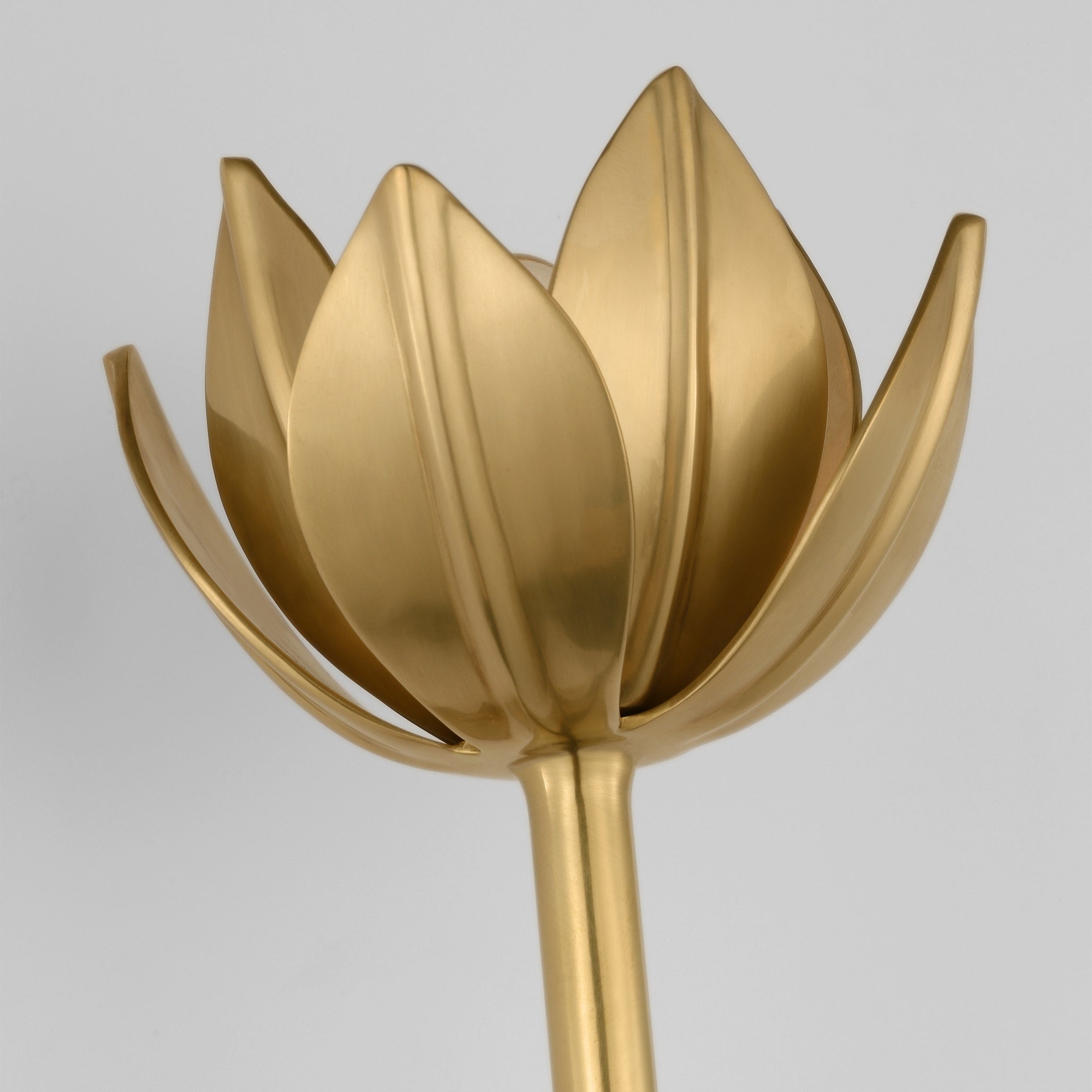 Wren Floral Sculptural Wall Sconce