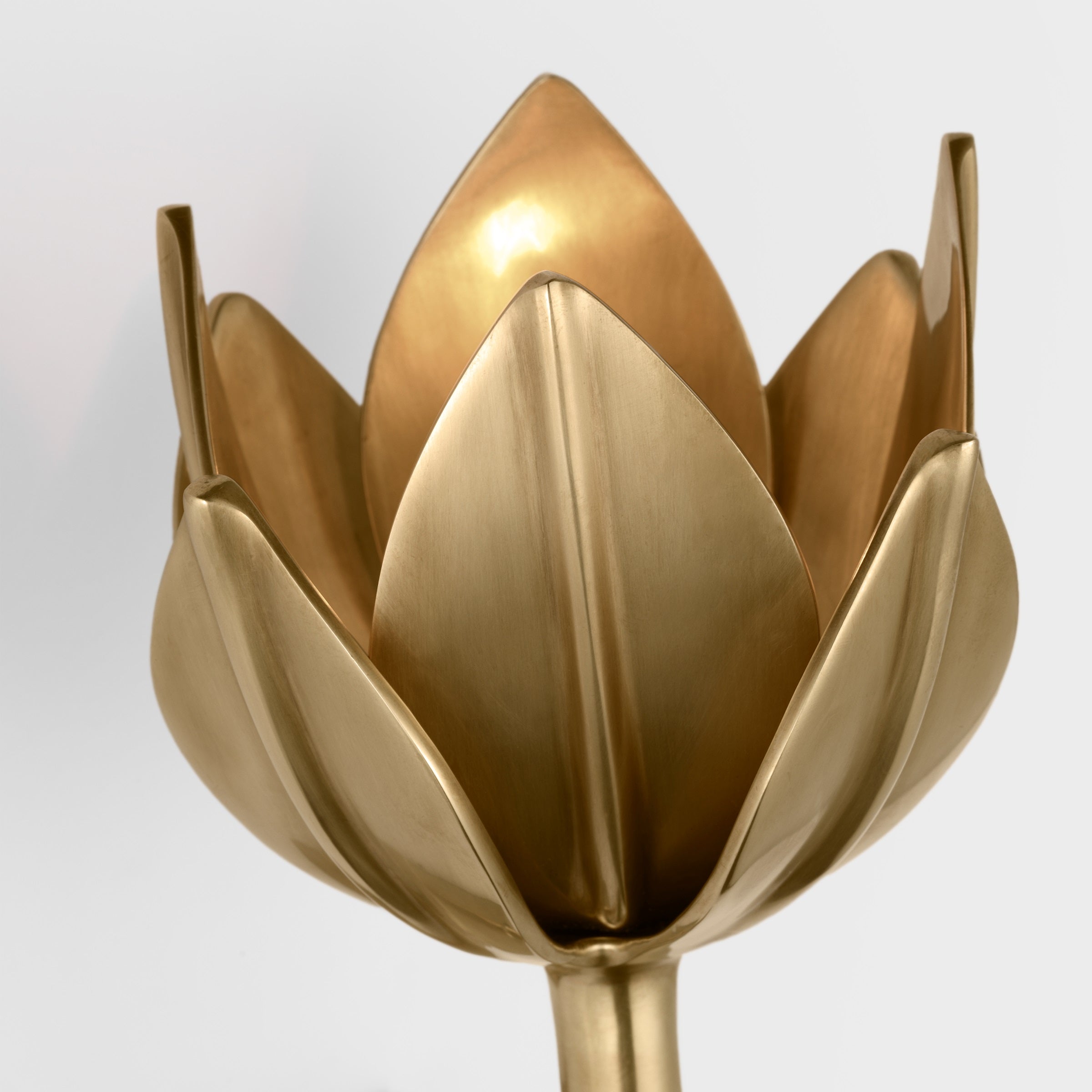 Wren Floral Sculptural Wall Sconce